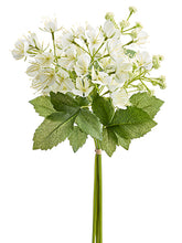 Load image into Gallery viewer, White