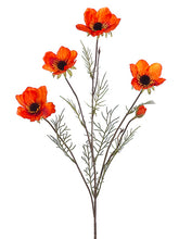 Load image into Gallery viewer, Orange
