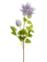 Load image into Gallery viewer, Two Tone Amethyst