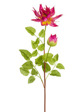 Load image into Gallery viewer, Two Tone Beauty