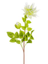Load image into Gallery viewer, Cream Yellow