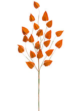 Load image into Gallery viewer, Orange