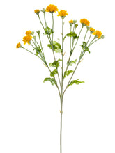 Load image into Gallery viewer, Yellow