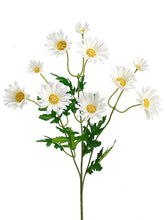 Load image into Gallery viewer, White
