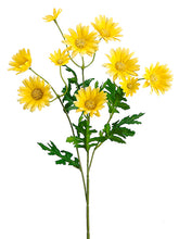 Load image into Gallery viewer, Yellow