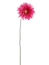 Load image into Gallery viewer, Crerise