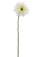 Load image into Gallery viewer, Cream