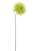 Load image into Gallery viewer, Green