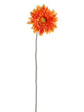Load image into Gallery viewer, Orange