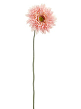 Load image into Gallery viewer, Pink