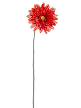 Load image into Gallery viewer, Red