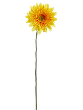 Load image into Gallery viewer, Yellow