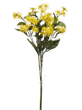 Load image into Gallery viewer, Yellow