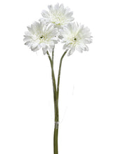 Load image into Gallery viewer, White