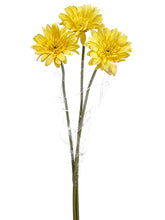 Load image into Gallery viewer, Yellow