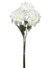 Load image into Gallery viewer, White