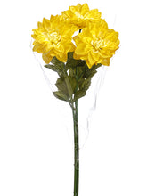 Load image into Gallery viewer, Yellow