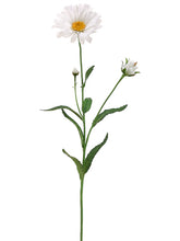 Load image into Gallery viewer, White