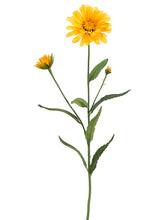 Load image into Gallery viewer, Yellow