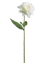 Load image into Gallery viewer, Cream
