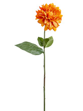 Load image into Gallery viewer, Orange