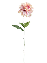 Load image into Gallery viewer, Two Tone Pink