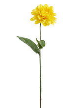 Load image into Gallery viewer, Yellow