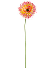 Load image into Gallery viewer, Cerise Cream