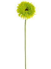 Load image into Gallery viewer, Lime