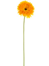 Load image into Gallery viewer, Yellow Gold
