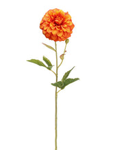Load image into Gallery viewer, Orange Rust
