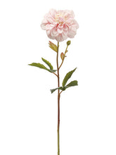 Load image into Gallery viewer, Pink Soft