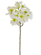 Load image into Gallery viewer, White