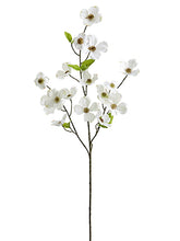 Load image into Gallery viewer, White