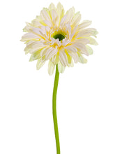 Load image into Gallery viewer, White Cream