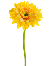 Load image into Gallery viewer, Soft Yellow