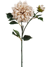 Load image into Gallery viewer, Beige