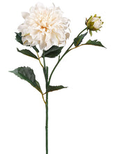 Load image into Gallery viewer, Ivory