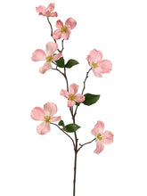 Load image into Gallery viewer, Rose Cream