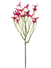 Load image into Gallery viewer, Two Tone Cerise