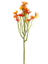 Load image into Gallery viewer, Two Tone Orange