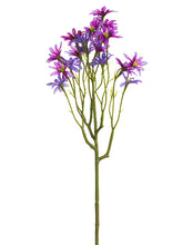 Load image into Gallery viewer, Two Tone Purple