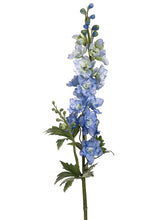 Load image into Gallery viewer, Delphinium Blue