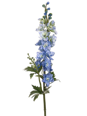 Delphinium Blue