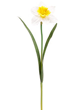 Load image into Gallery viewer, White Yellow