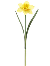 Load image into Gallery viewer, Yellow