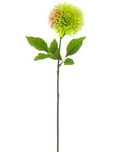 Load image into Gallery viewer, Green