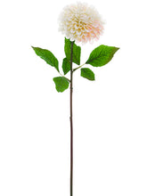 Load image into Gallery viewer, White