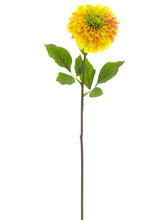 Load image into Gallery viewer, Yellow