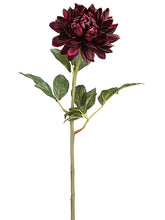 Load image into Gallery viewer, Burgundy